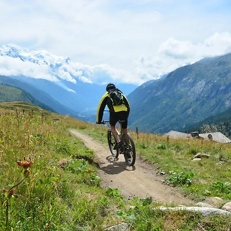 Grand Roc - Campanules 015 - Happy 霞慕尼