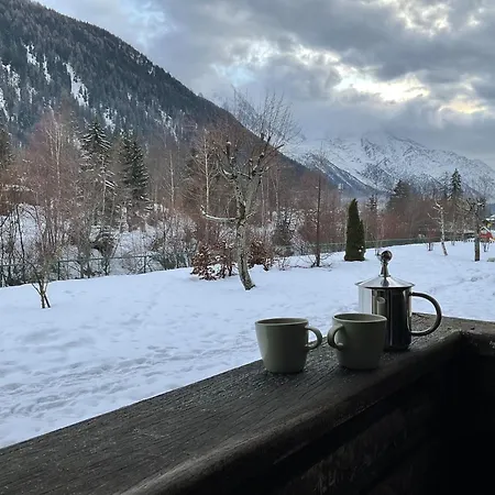 Grand Roc - Campanules 015 - Happy Apartamento Chamonix