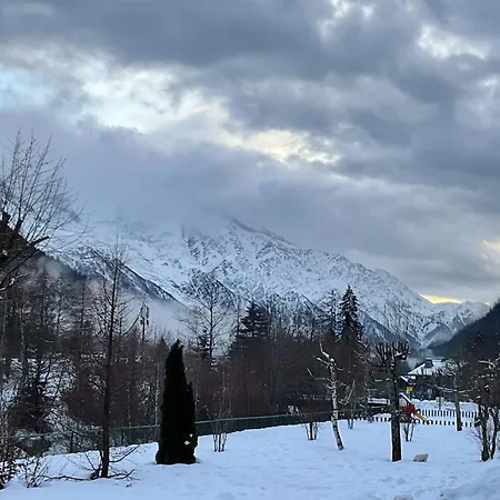 Grand Roc C15 - 280m From Slopes, Mont-blanc View, Parking & Wifi - Happy Chamonix
