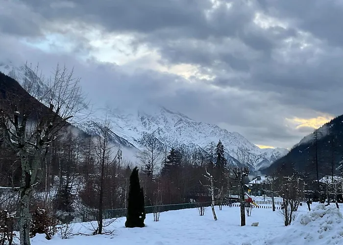 Grand Roc - Campanules 015 - Happy * Chamonix