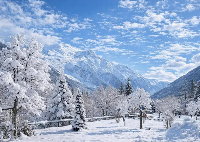 Grand Roc - Campanules 015 - Happy 公寓 霞慕尼